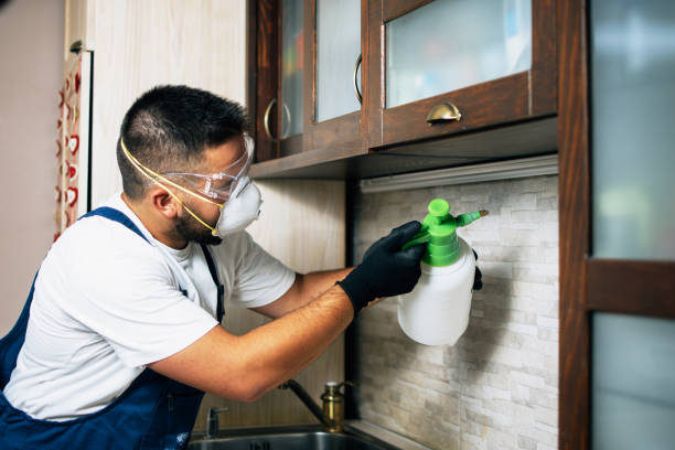 Best Pest Removal Services  in Glen Lyon, PA