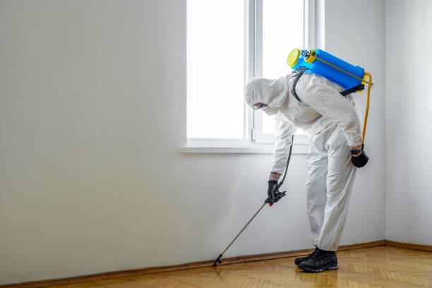 Best Termite Control Services  in Glen Lyon, PA