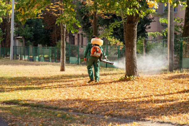 Best Best Pest Control Companies  in Glen Lyon, PA